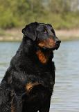 BEAUCERON 650